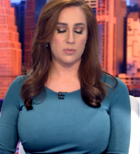 Screenshot 2024-05-09 at 02-40-45 Fox 5 news Anchor Teresa Perillo has great NY Boobs!.png