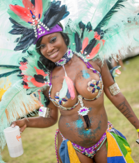 Screenshot_2019-10-15 Miami Carnival 2015 - Jacophoto(4).png