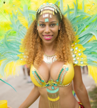 Screenshot_2019-10-15 Miami Carnival 2015 - Jacophoto(6).png